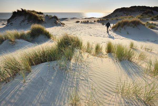 Heerlijk Vrijstaand Huis Aan De Duinen Бург-Гамстеде Екстер'єр фото