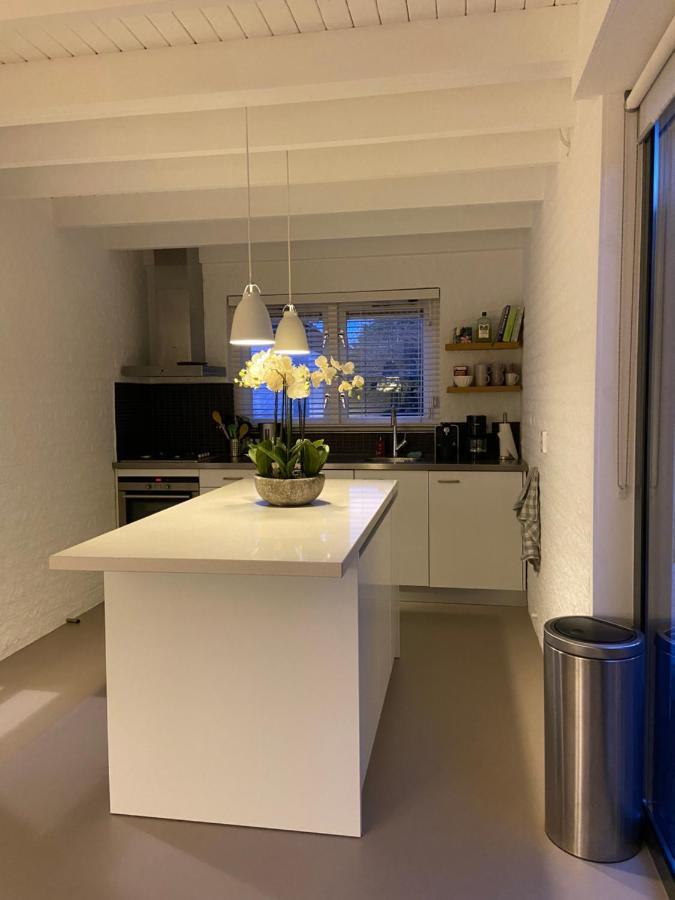 Heerlijk Vrijstaand Huis Aan De Duinen Бург-Гамстеде Екстер'єр фото